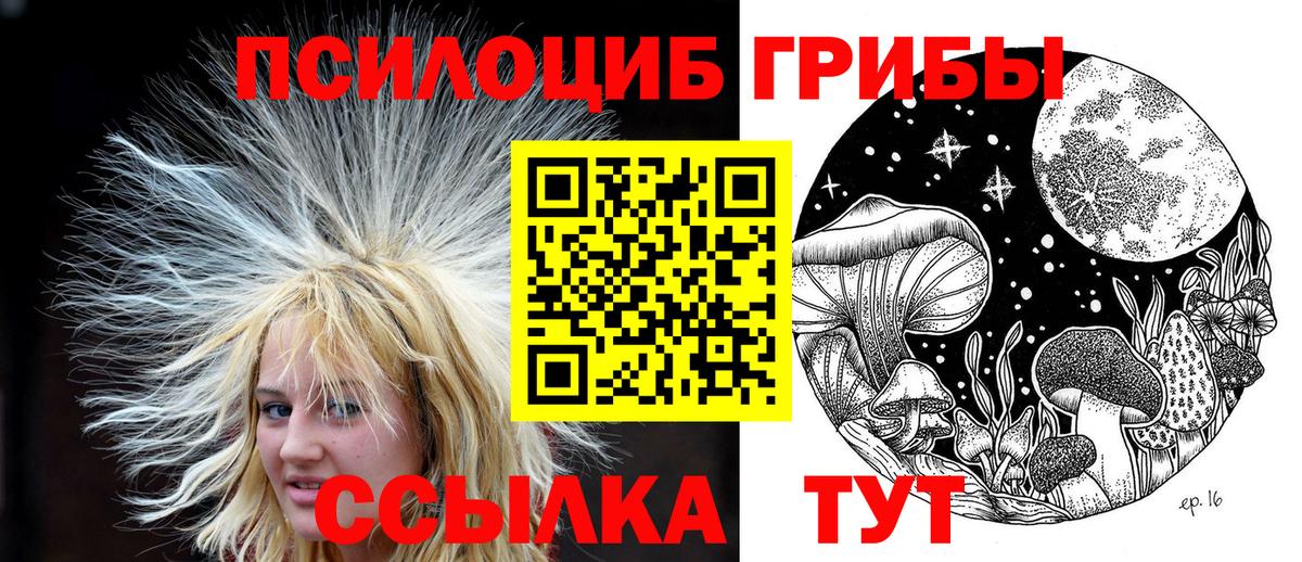 Галлюциногенные грибы Psilocybine cubensis  Вход с VPN  Петрозаводск 